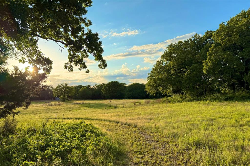 9213 Scenic Drive Pilot Point, TX 76258 - Photo 2 of 39 a view of an ocean view