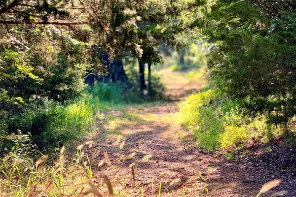 a view of an ocean and a yard