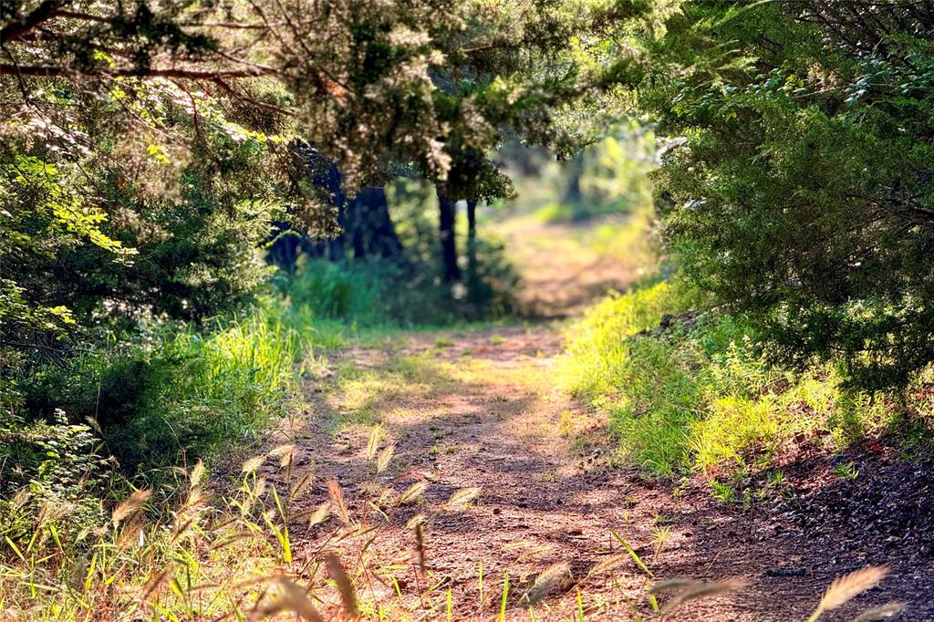 9213 Scenic Drive Pilot Point, TX 76258 - Photo 21 of 39