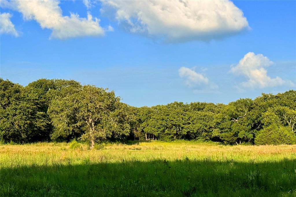 9213 Scenic Drive Pilot Point, TX 76258 - Photo 22 of 39