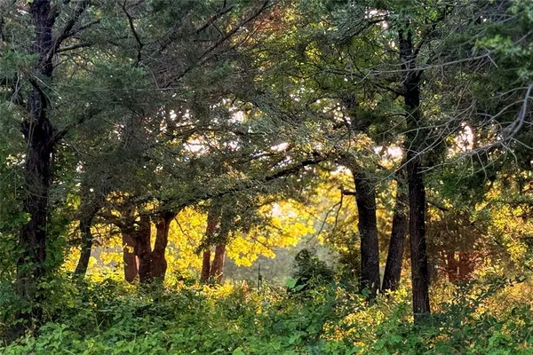 a view of a back yard