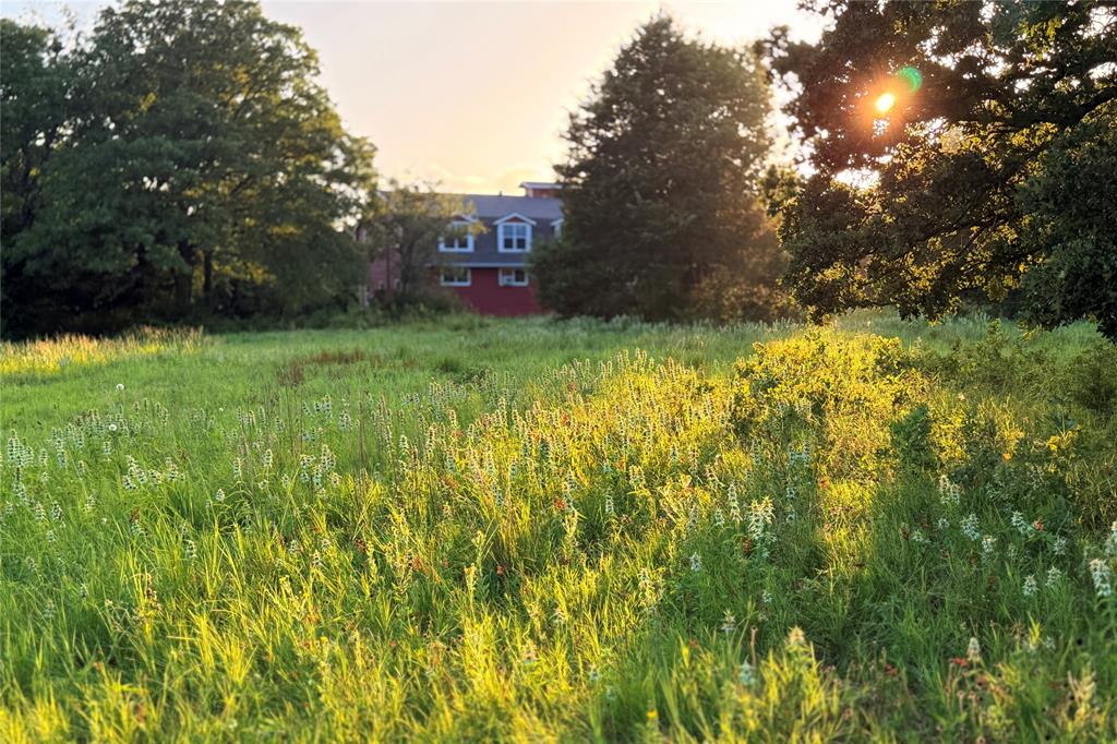 9213 Scenic Drive Pilot Point, TX 76258 - Photo 27 of 39