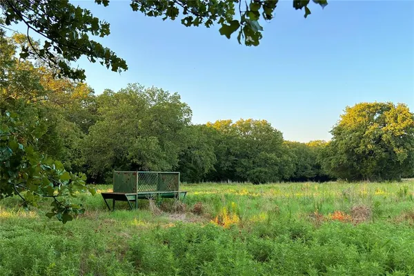 a view of outdoor space and yard