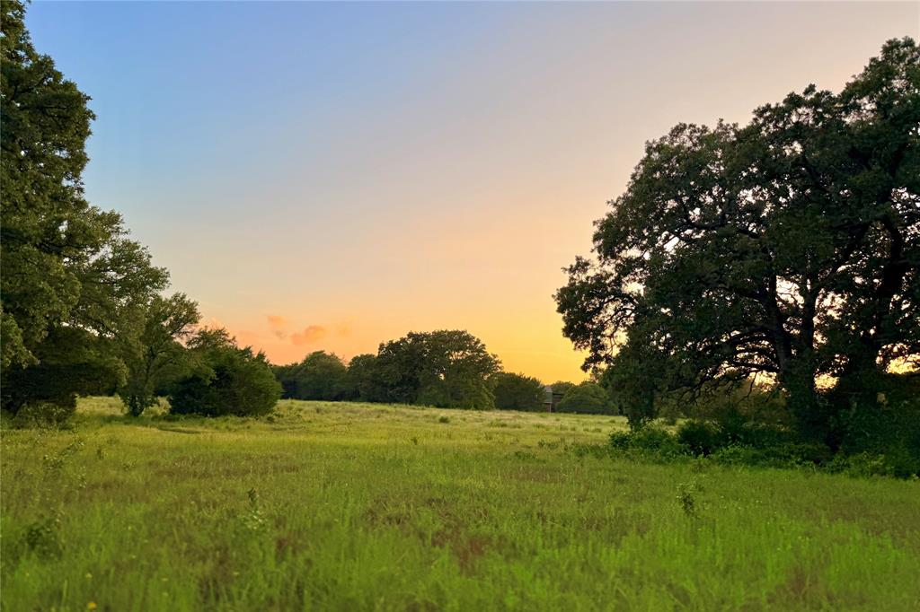 9213 Scenic Drive Pilot Point, TX 76258 - Photo 29 of 39