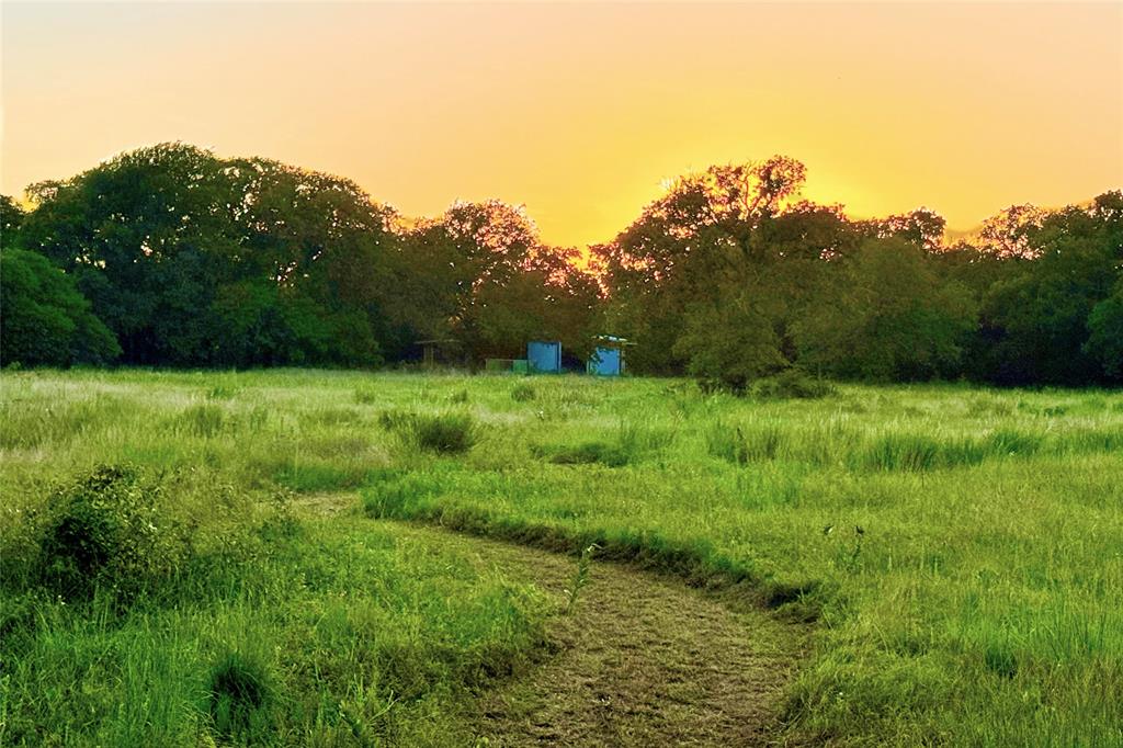 9213 Scenic Drive Pilot Point, TX 76258 - Photo 30 of 39