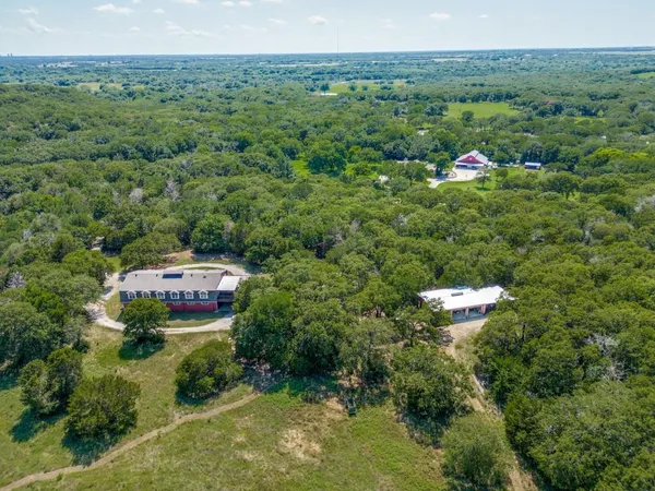 a view of a bunch of trees and houses