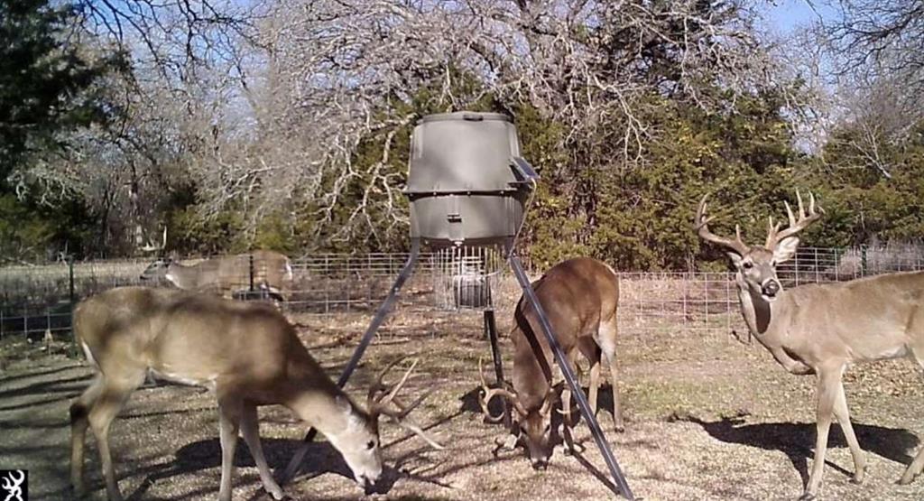 9213 Scenic Drive Pilot Point, TX 76258 - Photo 38 of 39