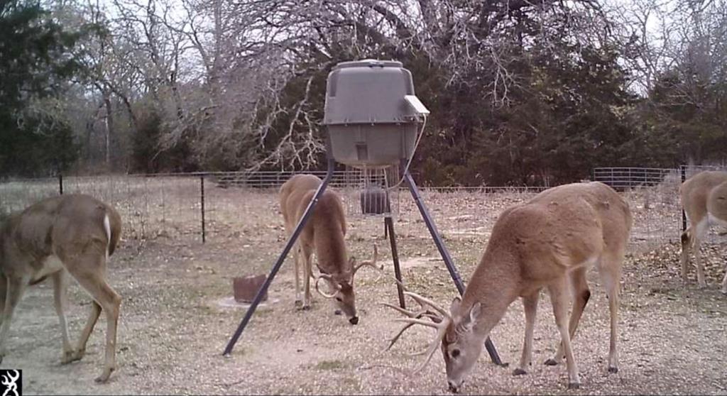 9213 Scenic Drive Pilot Point, TX 76258 - Photo 39 of 39