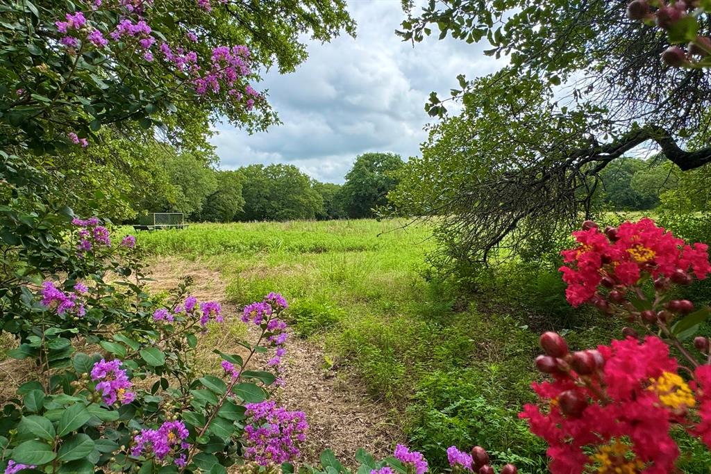 9213 Scenic Drive Pilot Point, TX 76258 - Photo 5 of 39