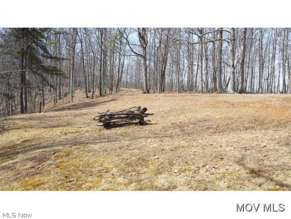 0 C Rd 21 Brohard, WV 26138 - Photo 1 of 11 Gallery Image 1