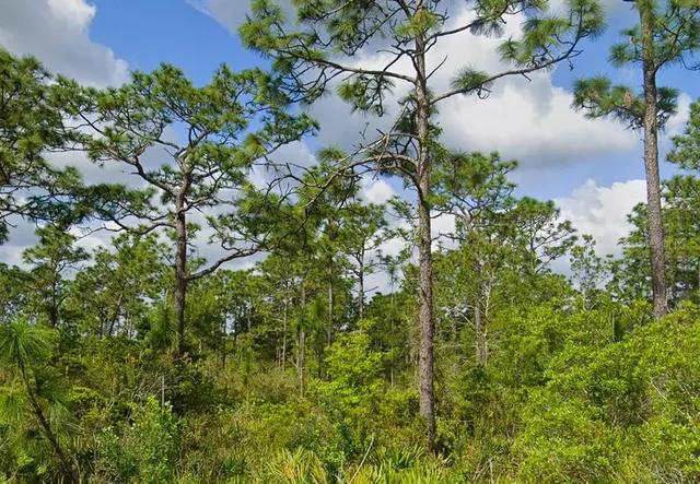 a view of a plant in a garden