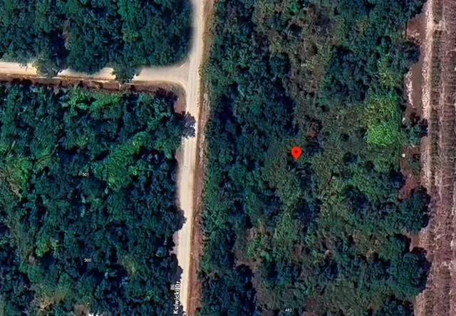 a view of a flower in a garden