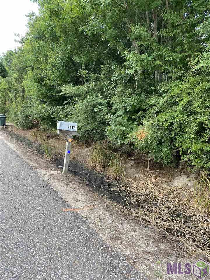 Lot 5 Coates Road Springfield, LA 70462 - Photo 4 of 4