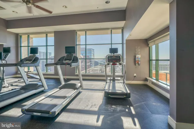 a living room with fireplace furniture and a potted plant