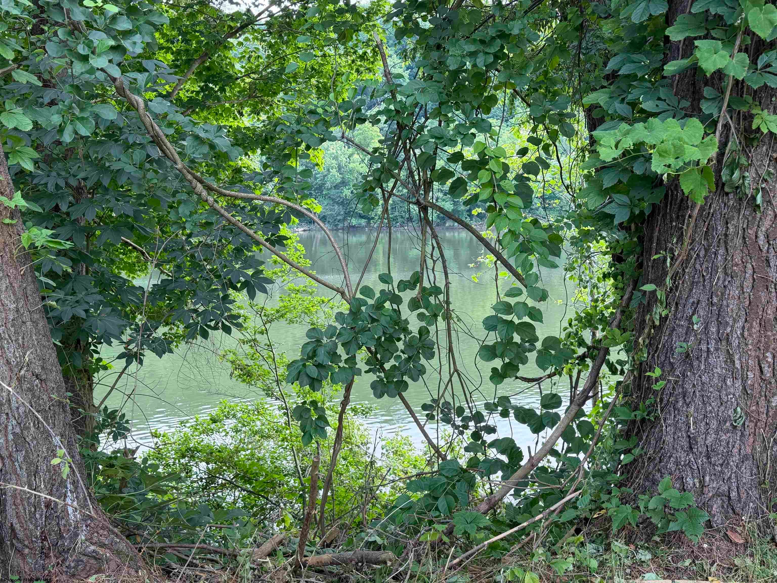 813 New Geneva Road Point Marion, PA 15474 - Photo 28 of 36 Gallery Image 28