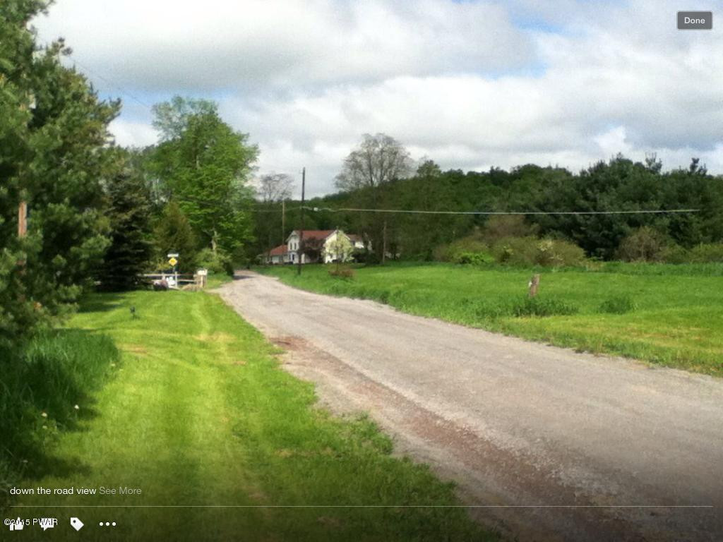 Griffith Road Tyler Hill, PA 18469 - Photo 3 of 15 ROAD FRONTAGE