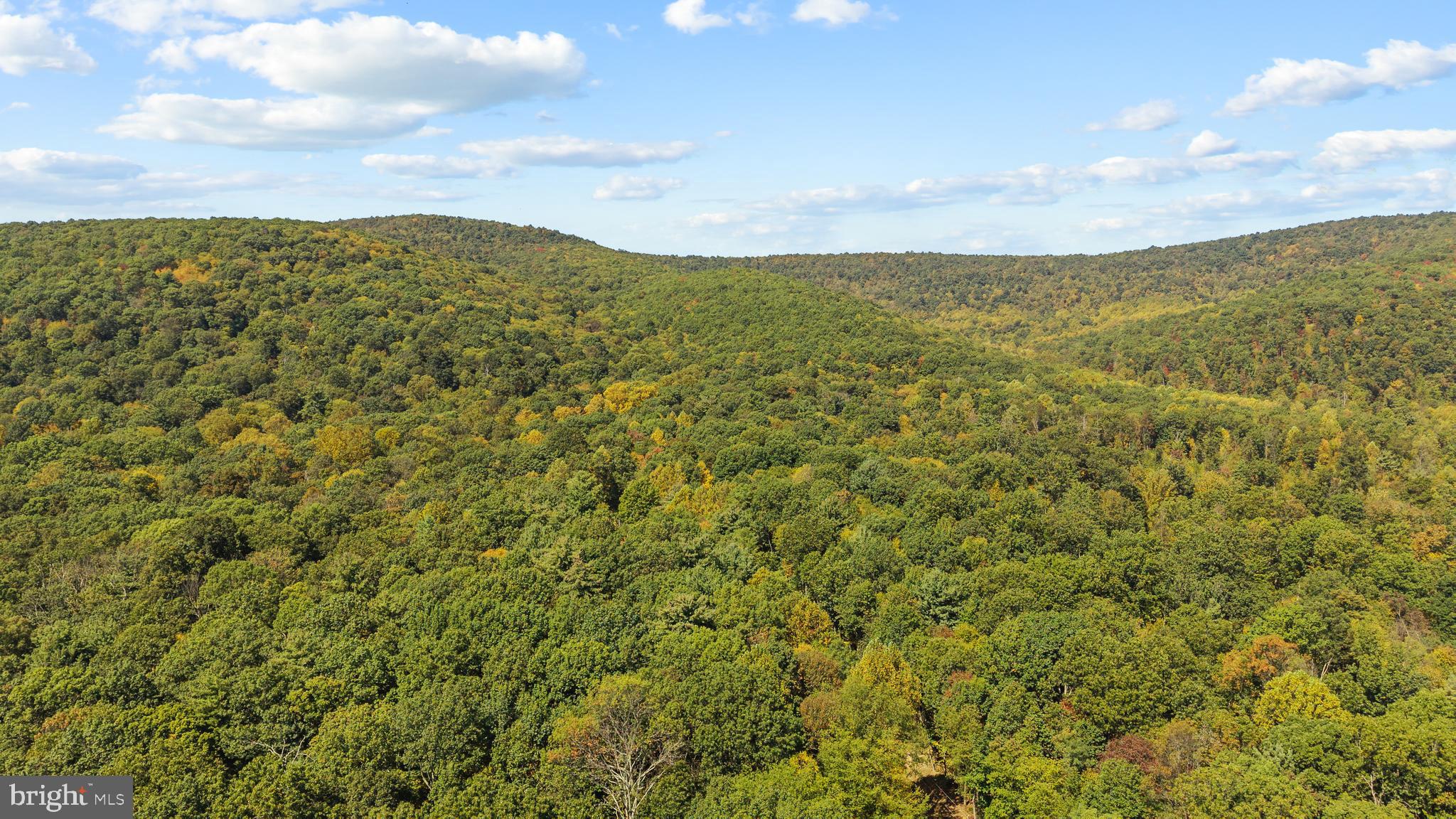 2160 Black Bear Road Needmore, PA 17238 - Photo 63 of 78