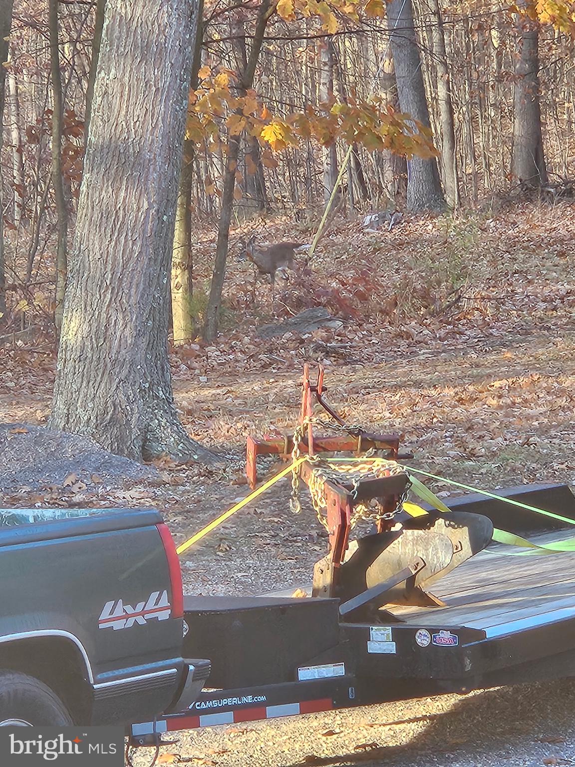 2160 Black Bear Road Needmore, PA 17238 - Photo 66 of 78