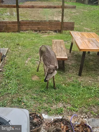 $384,900 | 2160 Black Bear Road, Needmore, PA 17238