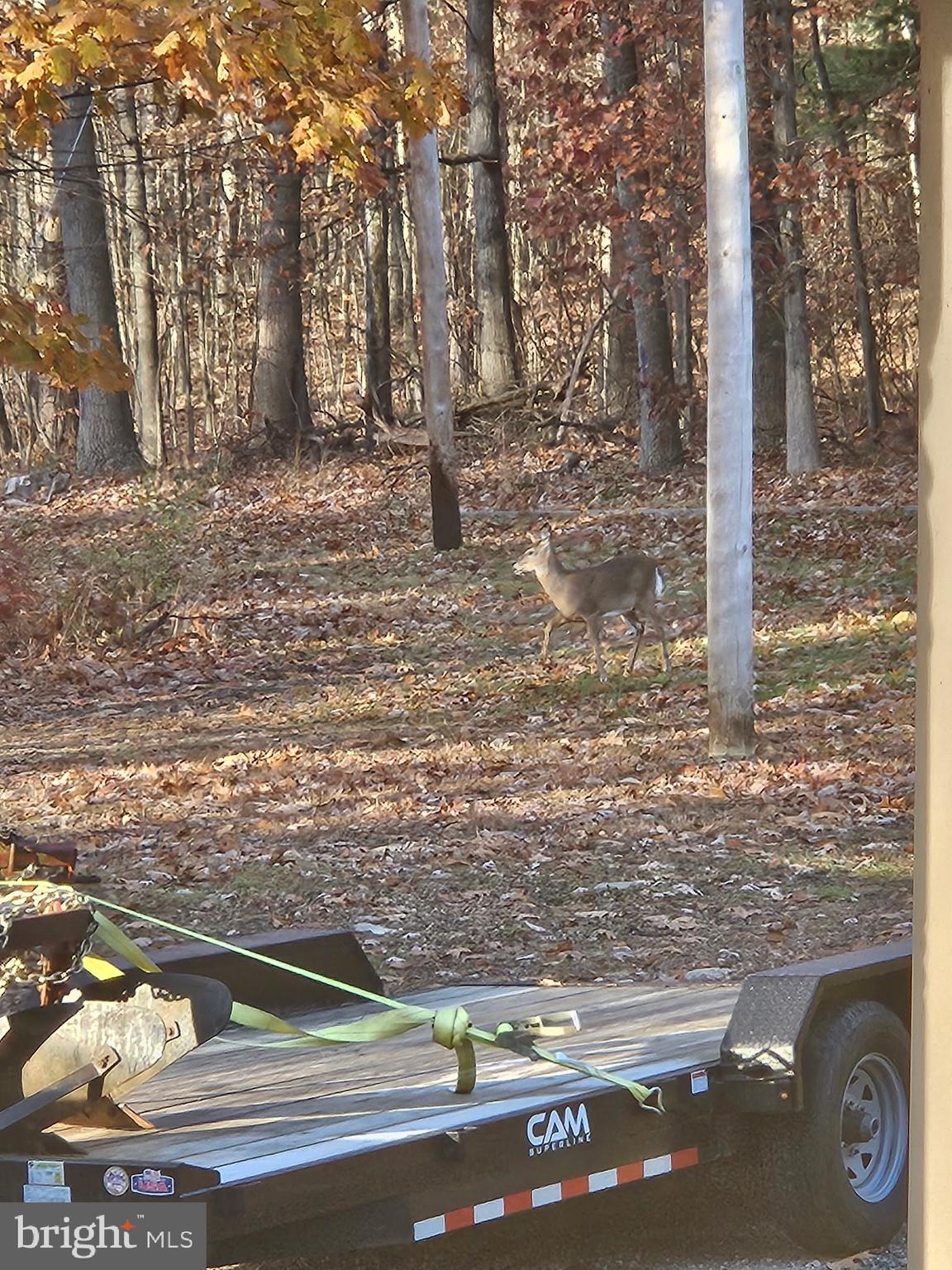 2160 Black Bear Road Needmore, PA 17238 - Photo 68 of 78