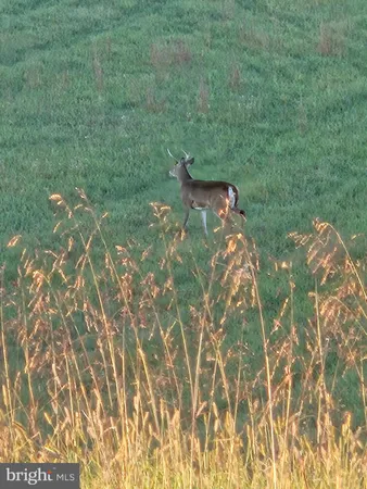 $384,900 | 2160 Black Bear Road, Needmore, PA 17238