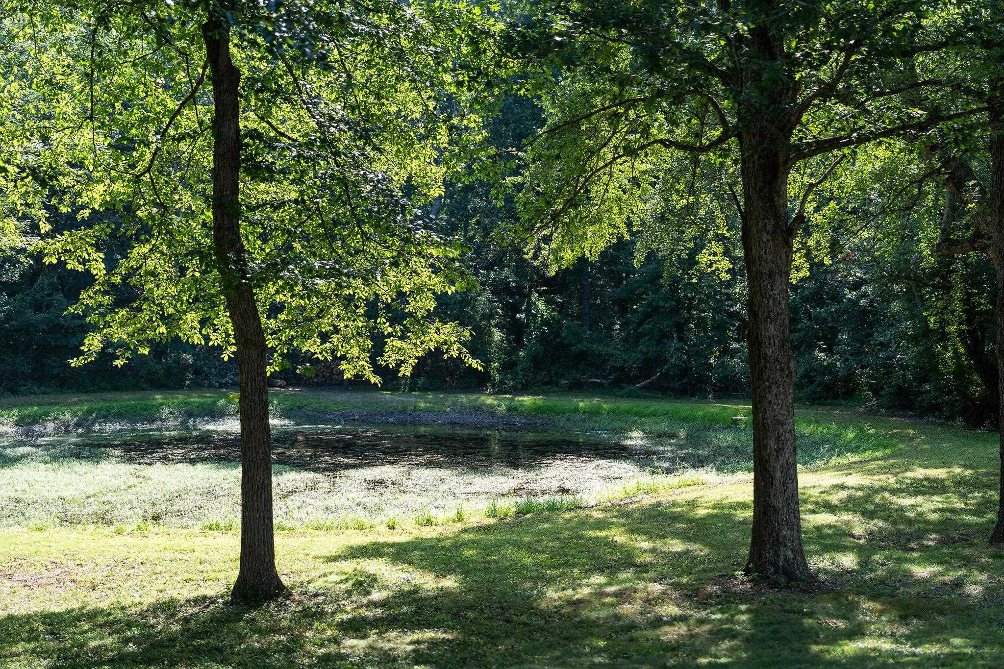 505 Paine Run Road Grottoes, VA 24441 - Photo 51 of 75 Gallery Image 51