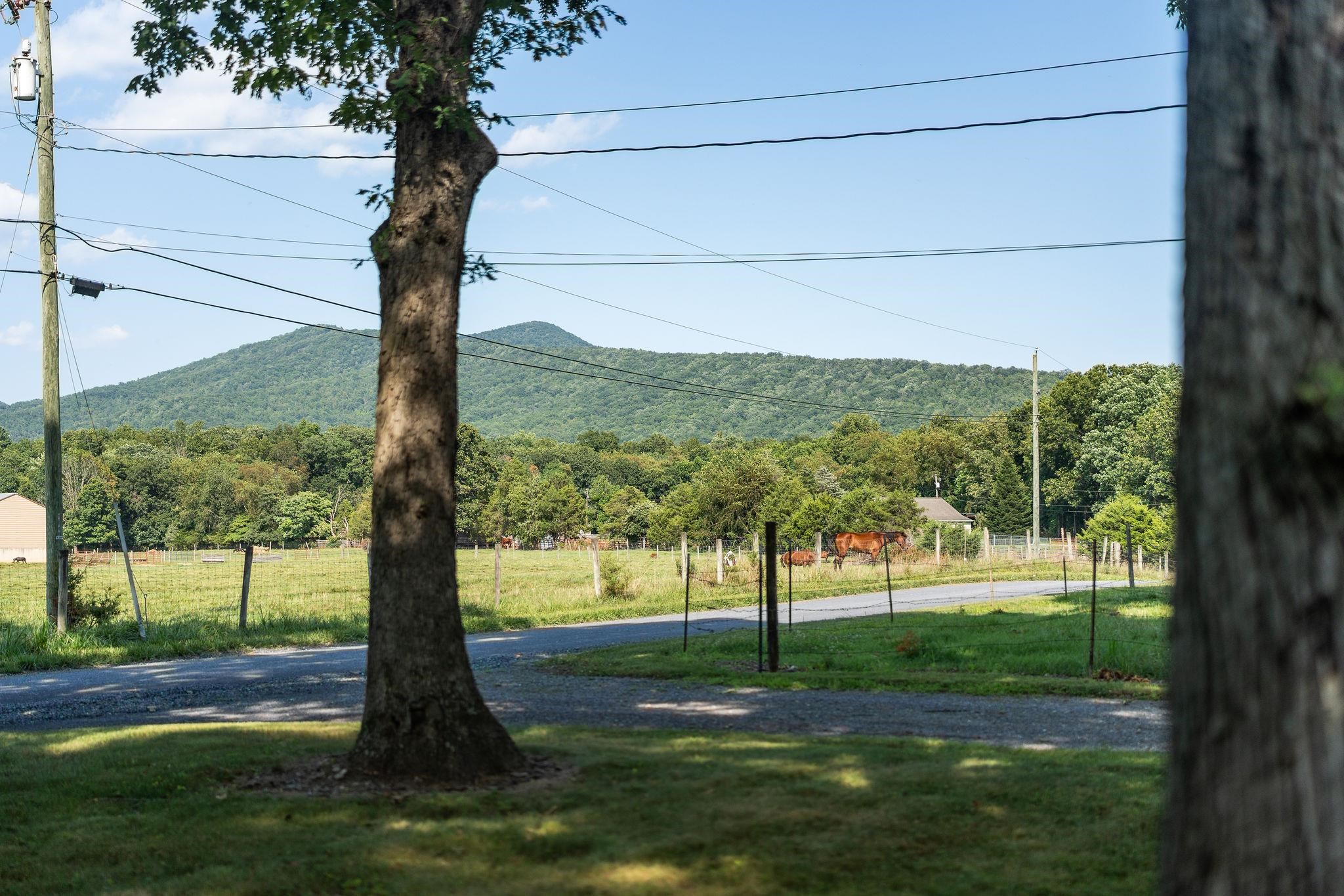 505 Paine Run Road Grottoes, VA 24441 - Photo 52 of 75 Gallery Image 52