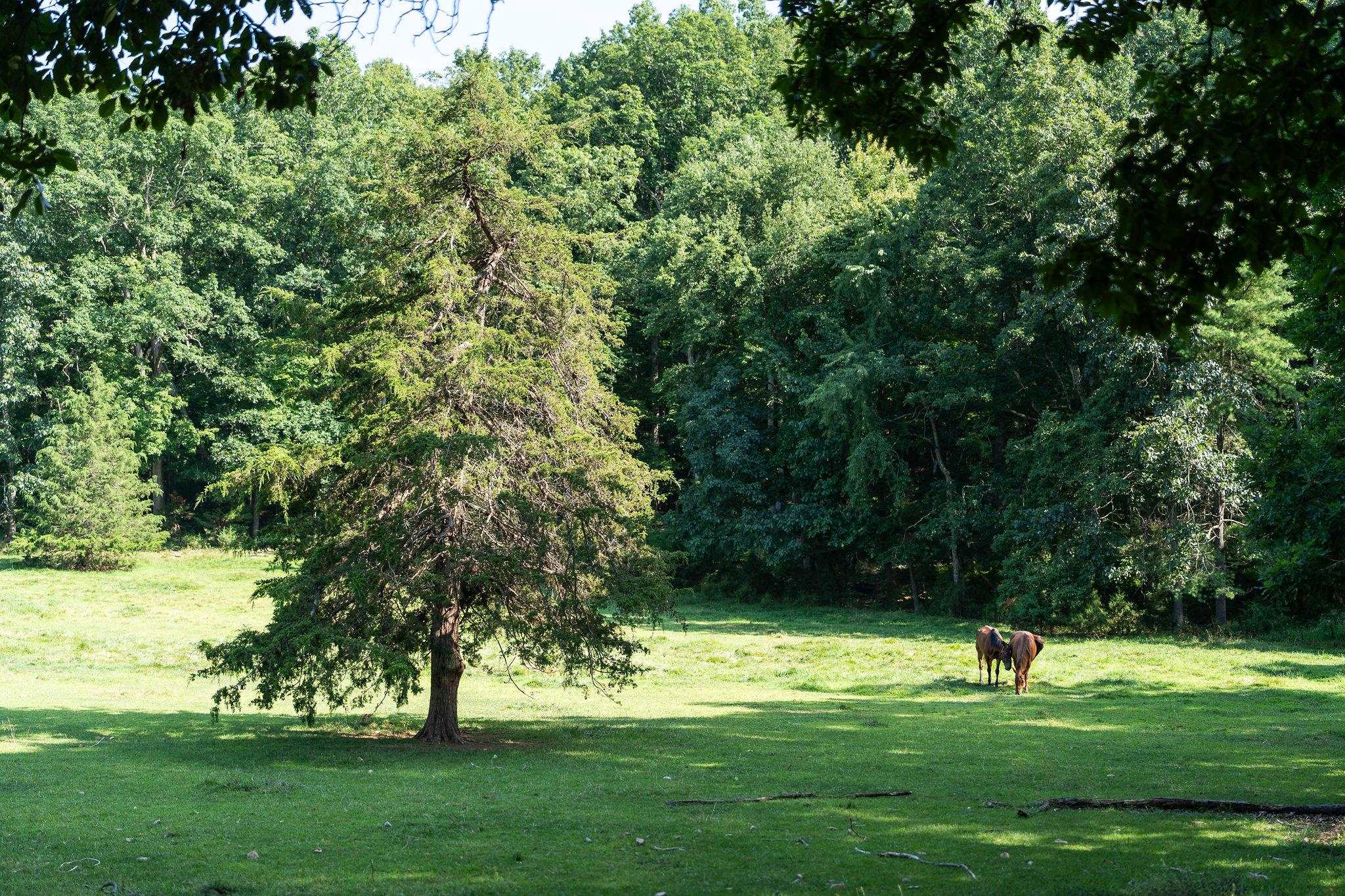 505 Paine Run Road Grottoes, VA 24441 - Photo 53 of 75 Gallery Image 53