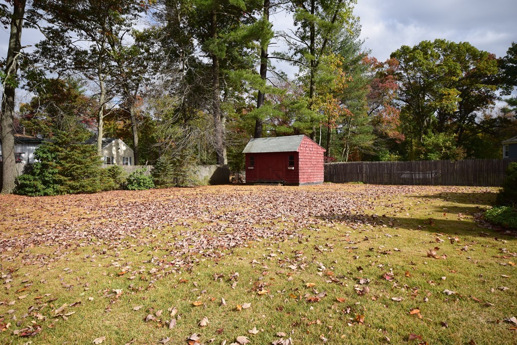 167 Woodcrest Road Springfield, MA 01129 - Photo 2 of 22 a backyard of a house with large trees