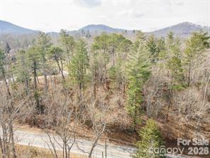 Tbd Ball Gap Road Arden, NC 28704 - Photo 2 of 5