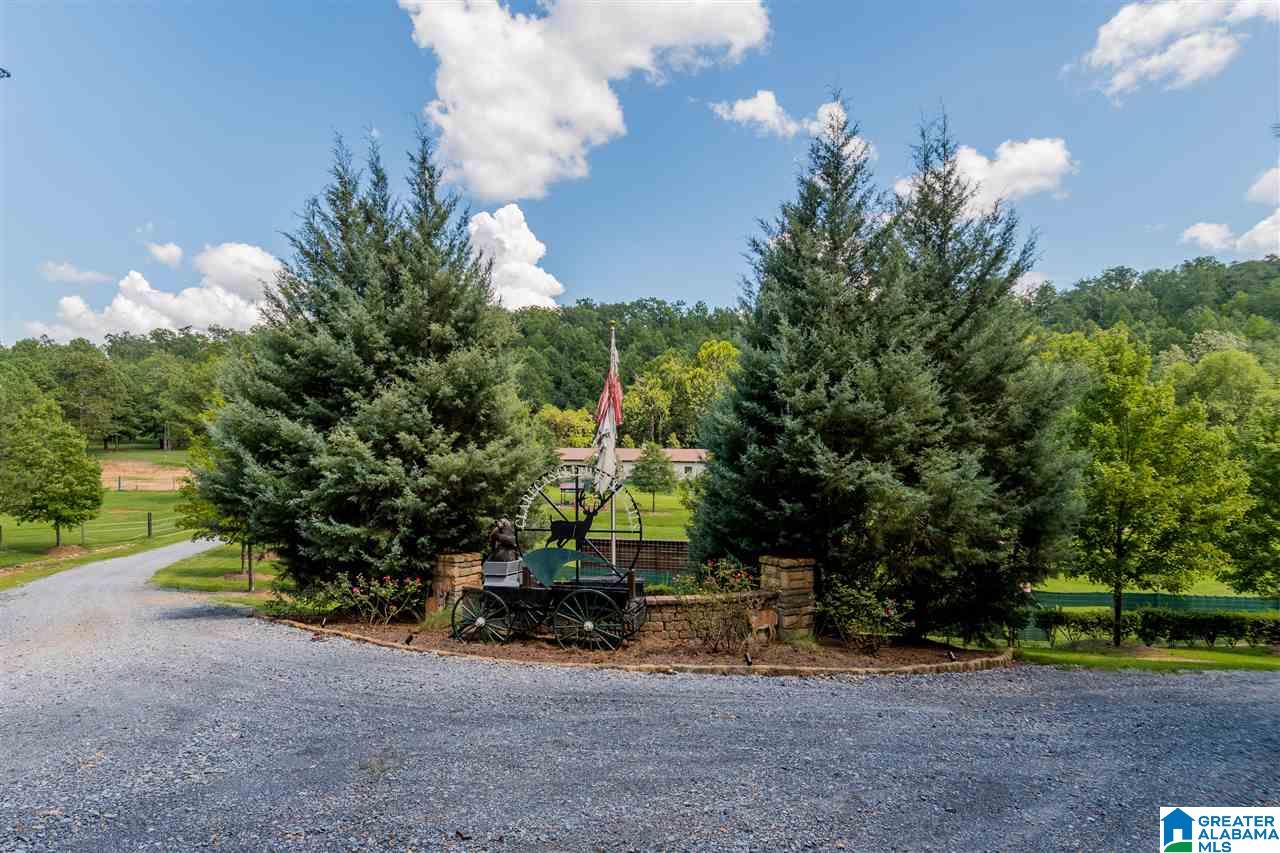307 Clarecastle Lane Vincent, AL 35178 - Photo 10 of 31