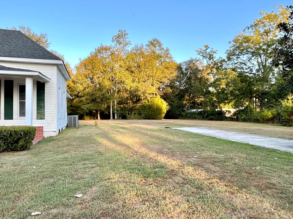 304 North Ripley Street Samson, AL 36477 - Photo 5 of 20