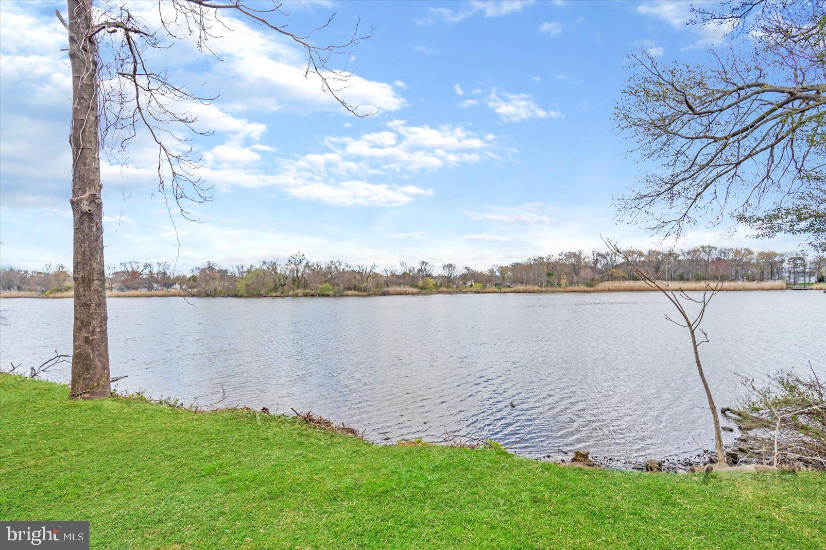 709 Riverside Drive Essex, MD 21221 - Photo 3 of 72 Gallery Image 3