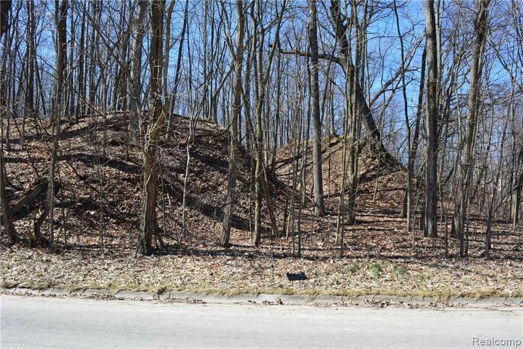 0 Ledgewood Fenton, MI 48430 - Photo 2 of 8