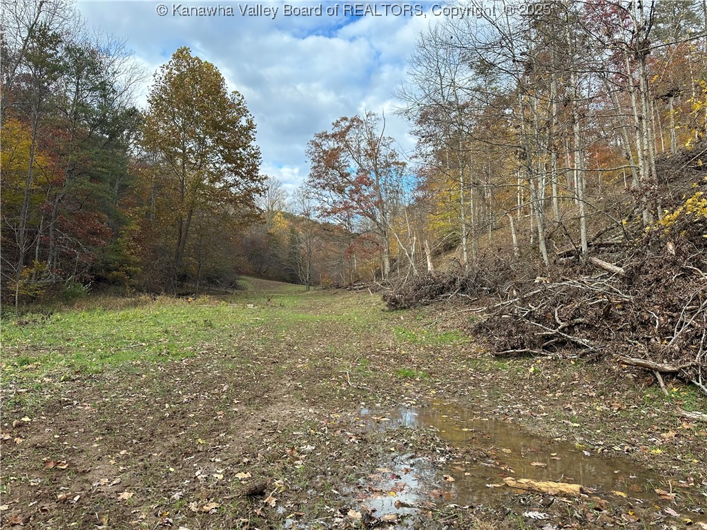 621 3 Mile Road Brohard, WV 26138 - Photo 22 of 48 Gallery Image 22