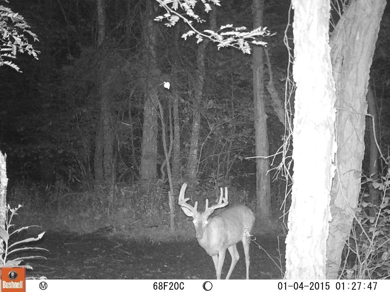 747 Cummings Road West Union, OH 45693 - Photo 58 of 99 Gallery Image 58
