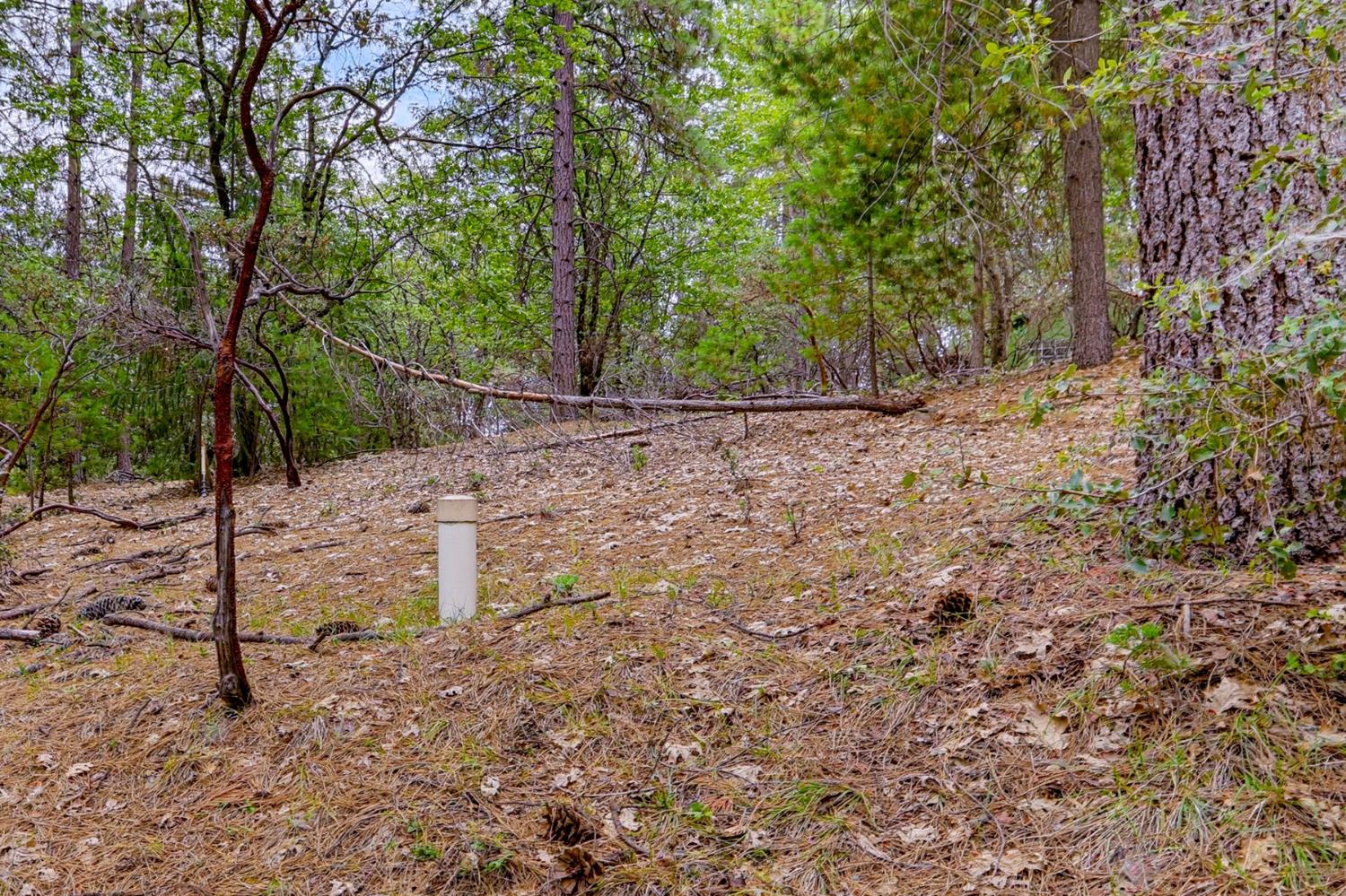 16020 Brooks Road Grass Valley, CA 95945 - Photo 2 of 12