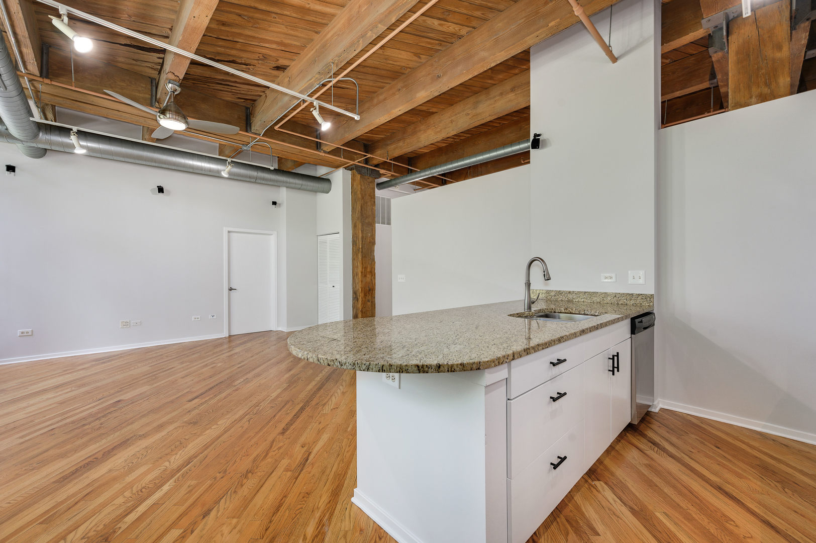 1040 West Adams Street, Unit 269 Chicago, IL 60607 - Photo 5 of 23 a kitchen with kitchen island granite countertop a sink and a wooden floor