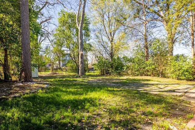 a view of a yard with a tree