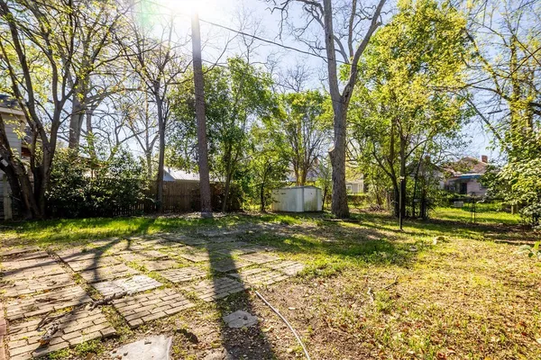 a view of a yard with plants and trees