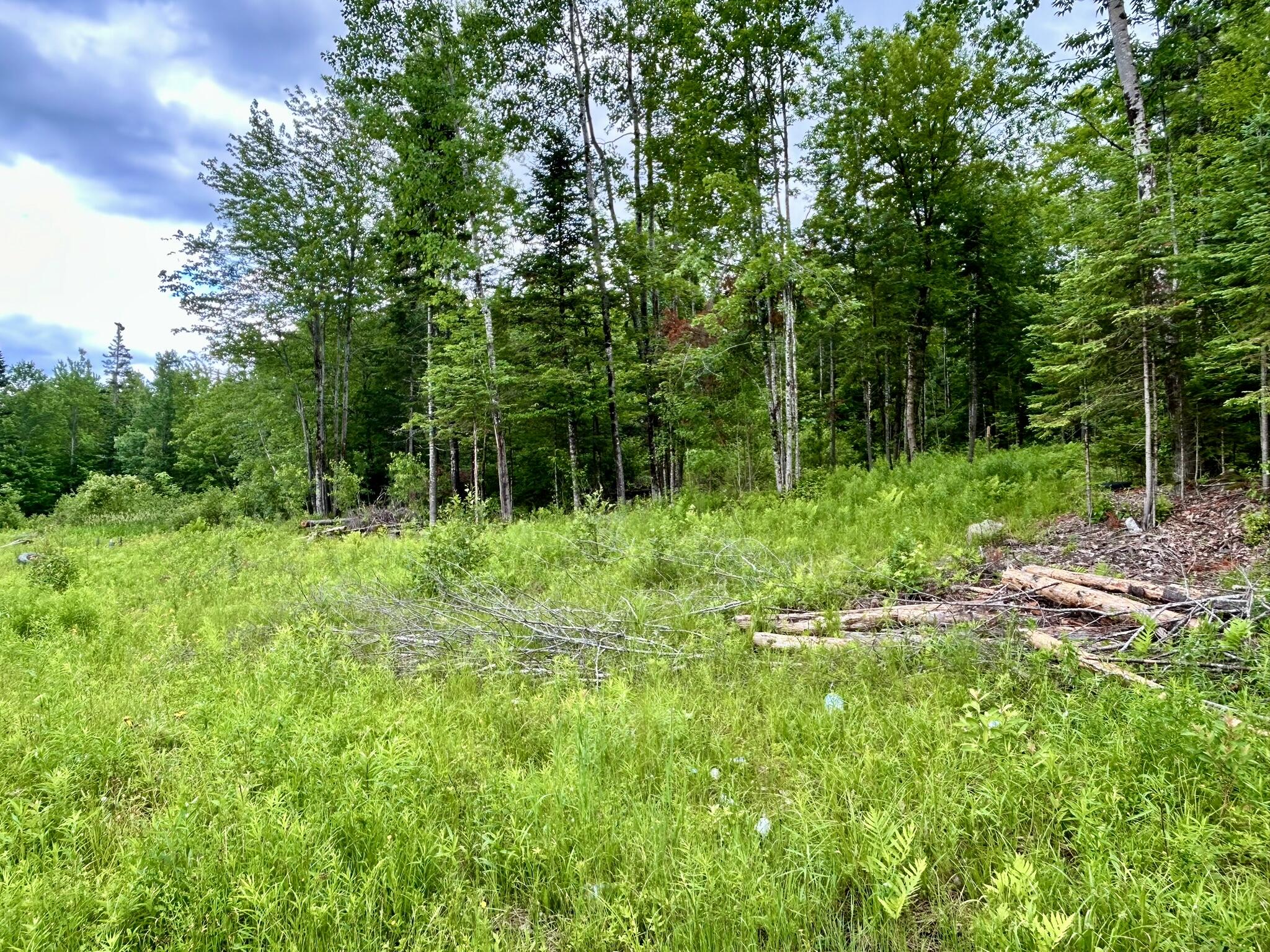 M7-l26 Canaan Road Hartland, ME 04943 - Photo 3 of 19 IMG_1269