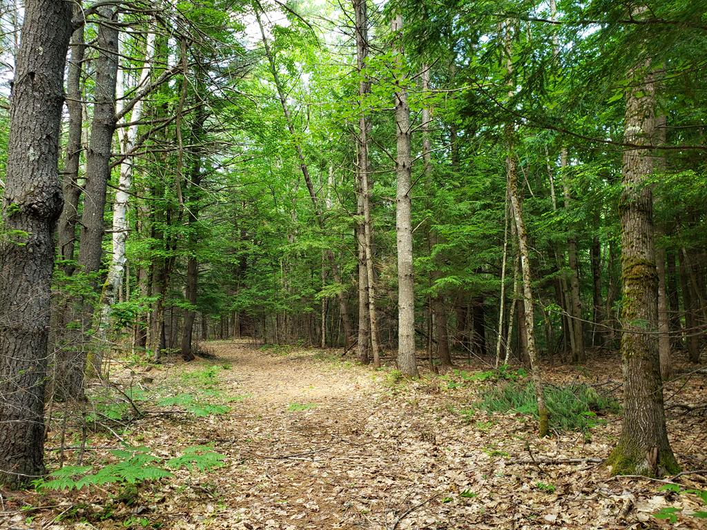 809 Winding Hill Road Norridgewock, ME 04957 - Photo 35 of 45 20200612_155926 (Copy)2