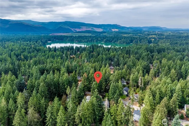 a view of a lush green hillside and a houses