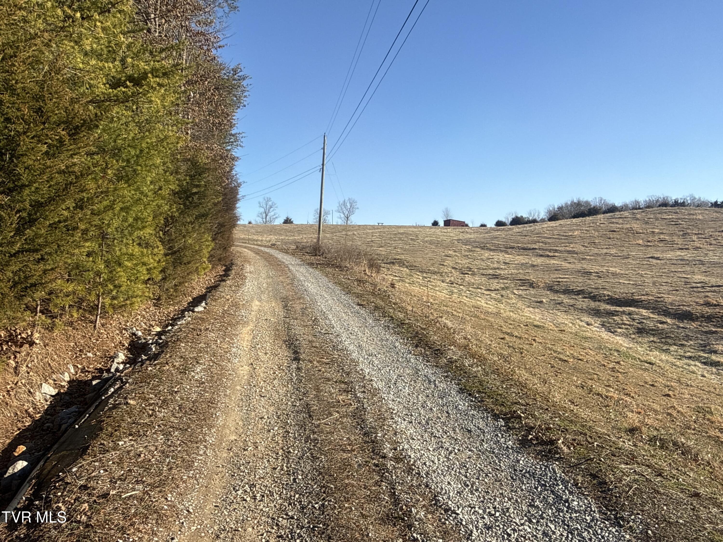 6181 Poplar Springs Road, Unit 1 Greeneville, TN 37743 - Photo 50 of 103 050 (1)