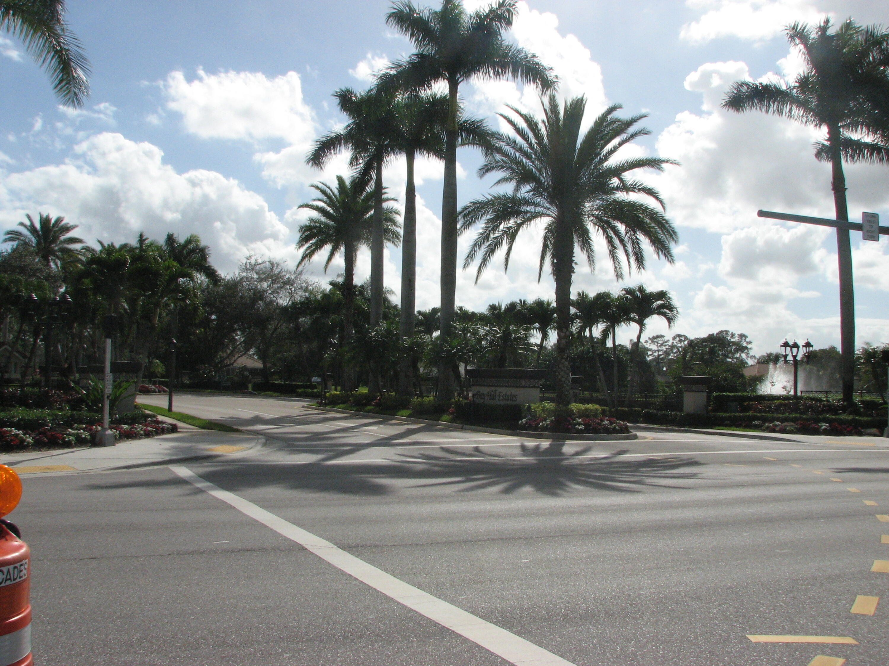 a view of a parking space and a palm tree