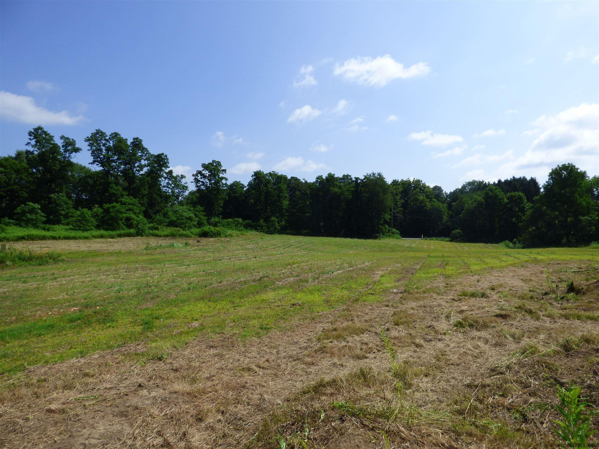 213 Middleline Road Ballston, NY 12020 - Photo 1 of 9 Photo 1