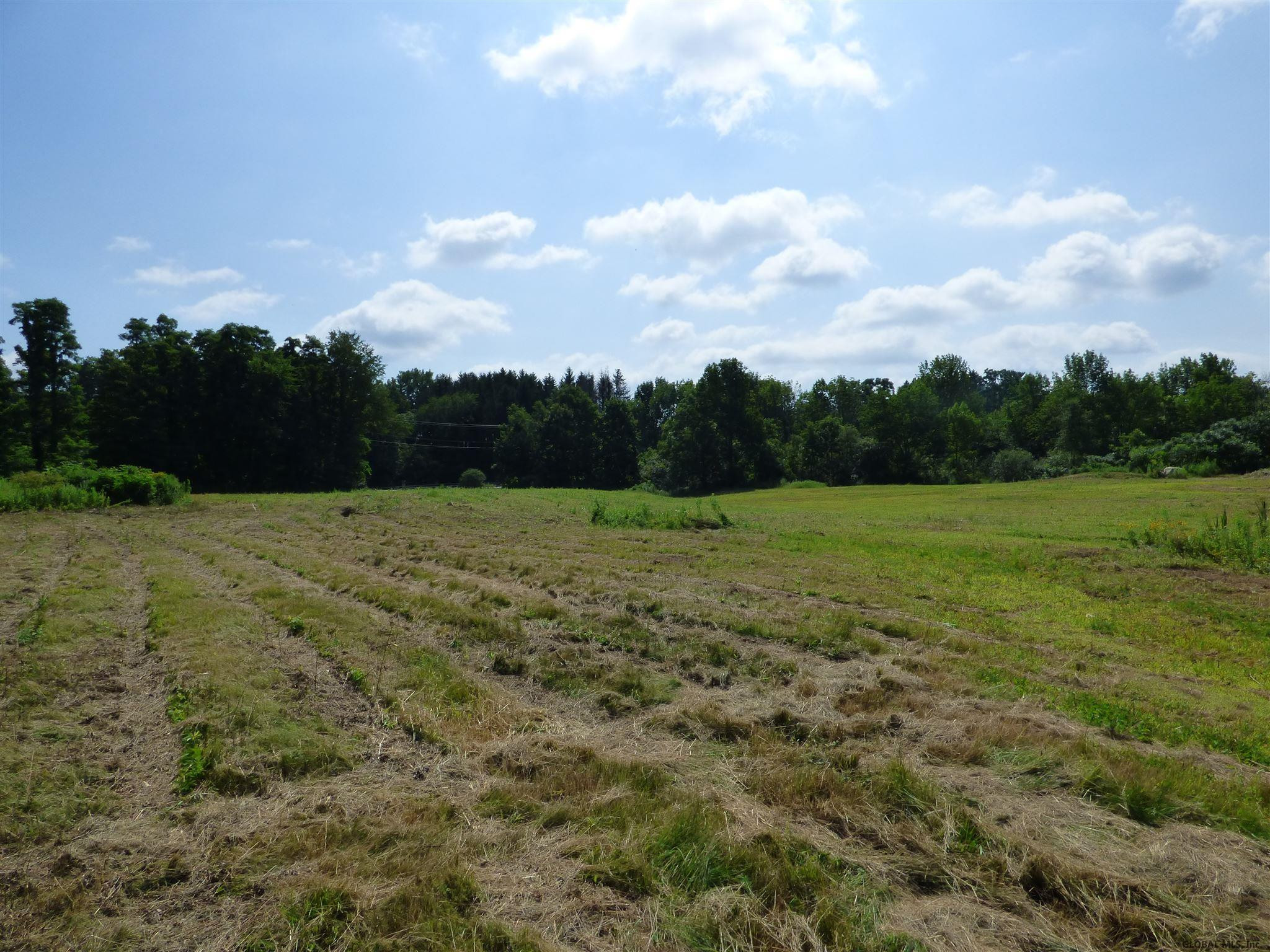 213 Middleline Road Ballston, NY 12020 - Photo 4 of 9 Photo 4