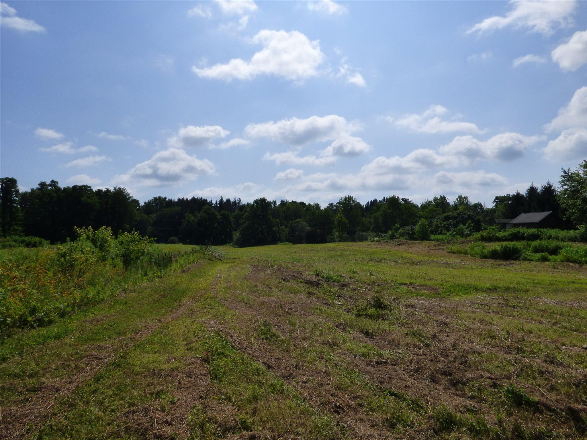 213 Middleline Road Ballston, NY 12020 - Photo 6 of 9 Photo 6