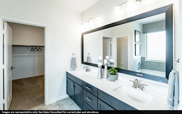 a bathroom with a double vanity sink mirror and shower
