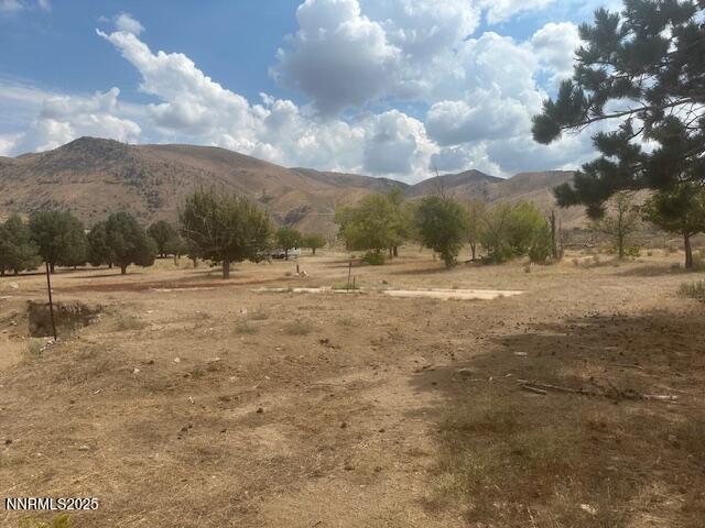 a view of dirt road with large trees